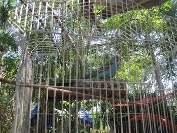 Yucatan Mayan Retreat Ecohotel And Camping Chichén-Itzá 외부 사진